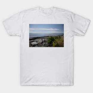 850_4723 T-Shirt